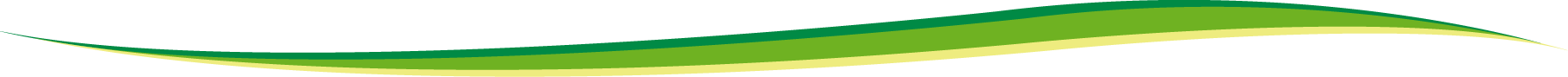 barrasuperiorverde