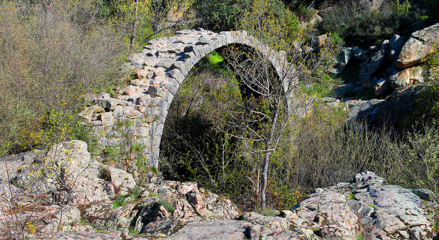 01 puentealcanzorla